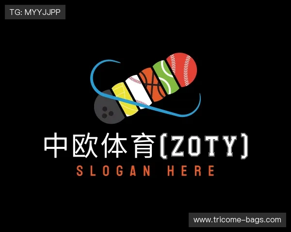 关于中欧电竞体育APP